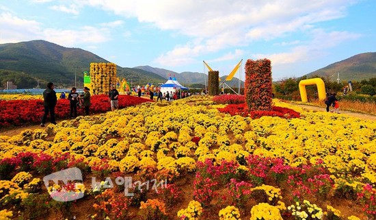제8회 거제섬꽃축제 '가을꽃의 향연 속으로'